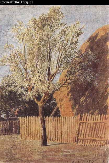 John linnell Study of a Tree